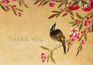 Peach Blossom Thank You Cards, Box Of 14