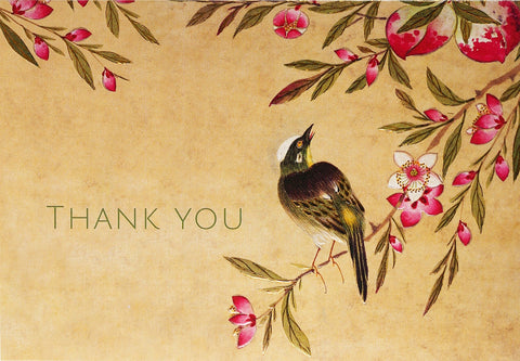 Peach Blossom Thank You Cards, Box Of 14