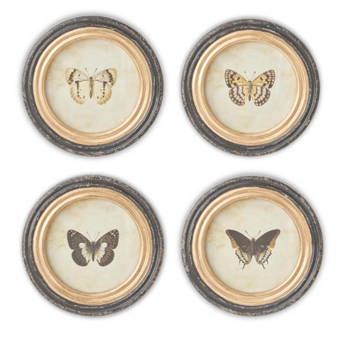 Assorted Butterfly Print, INDIVIDUALLY SOLD