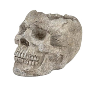 Skull Planter - SMALL