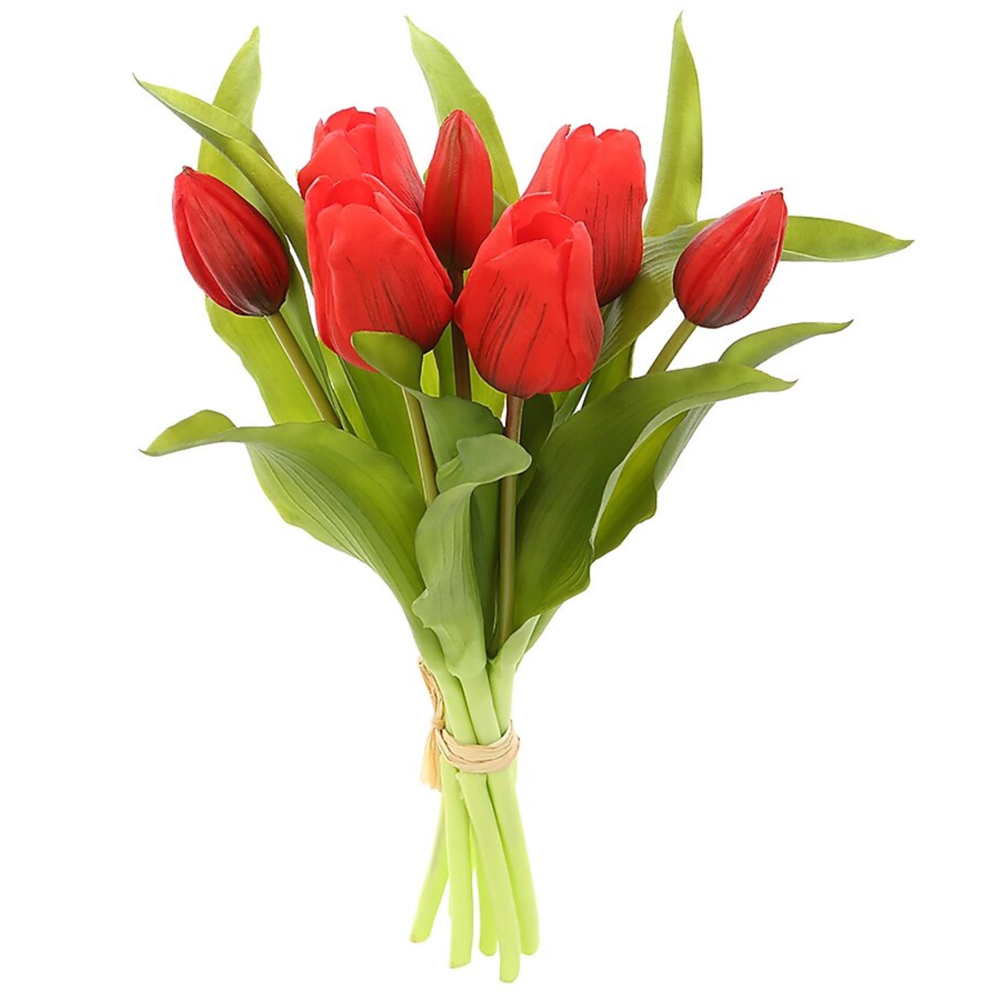 12” Red Tulip Bundle