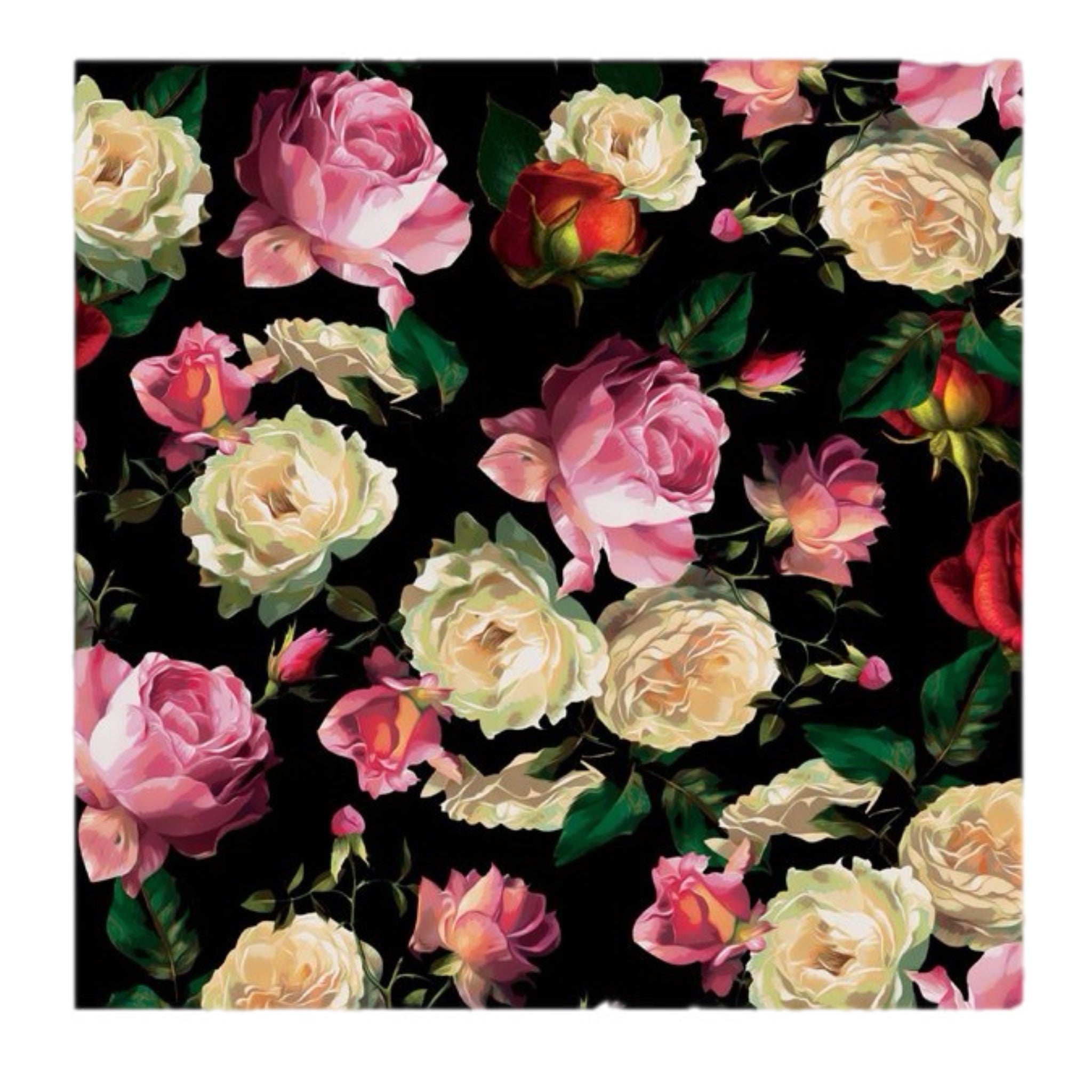 Cocktail Napkin: Midnight Rose