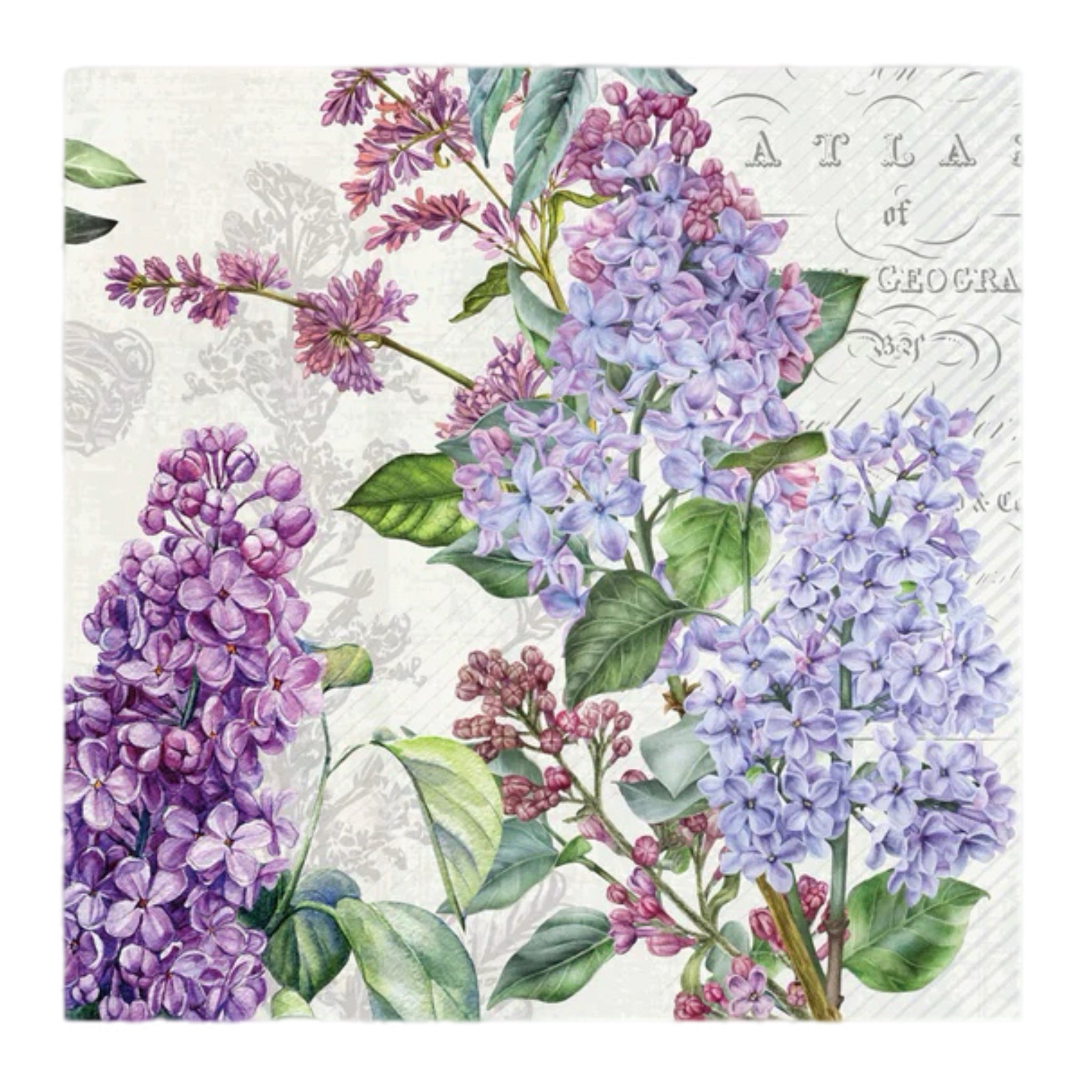 Cocktail Napkin: French Lilacs