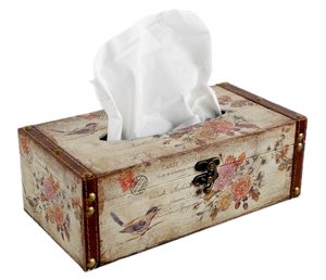 Birds Kleenex Box