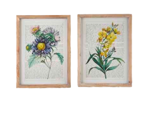 Assorted Framed Flower Print, INDIVIDUALLY SOLD