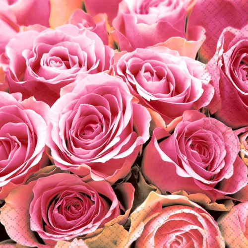 Cocktail Paper Napkin: Roses