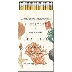 Sea Life Matches