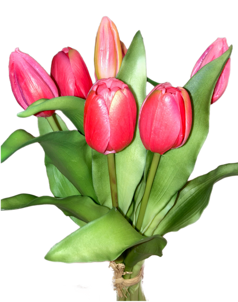 12" Pink Tulip Bundle