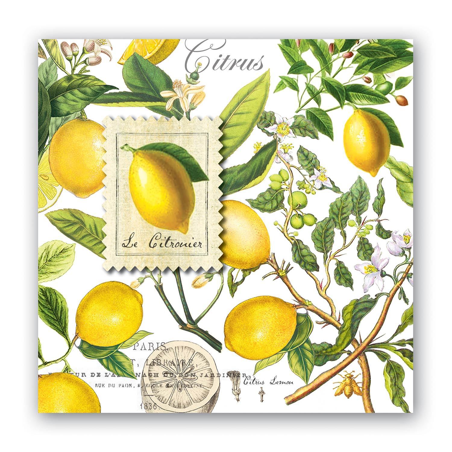 Cocktail Paper Napkin: Lemon Basil
