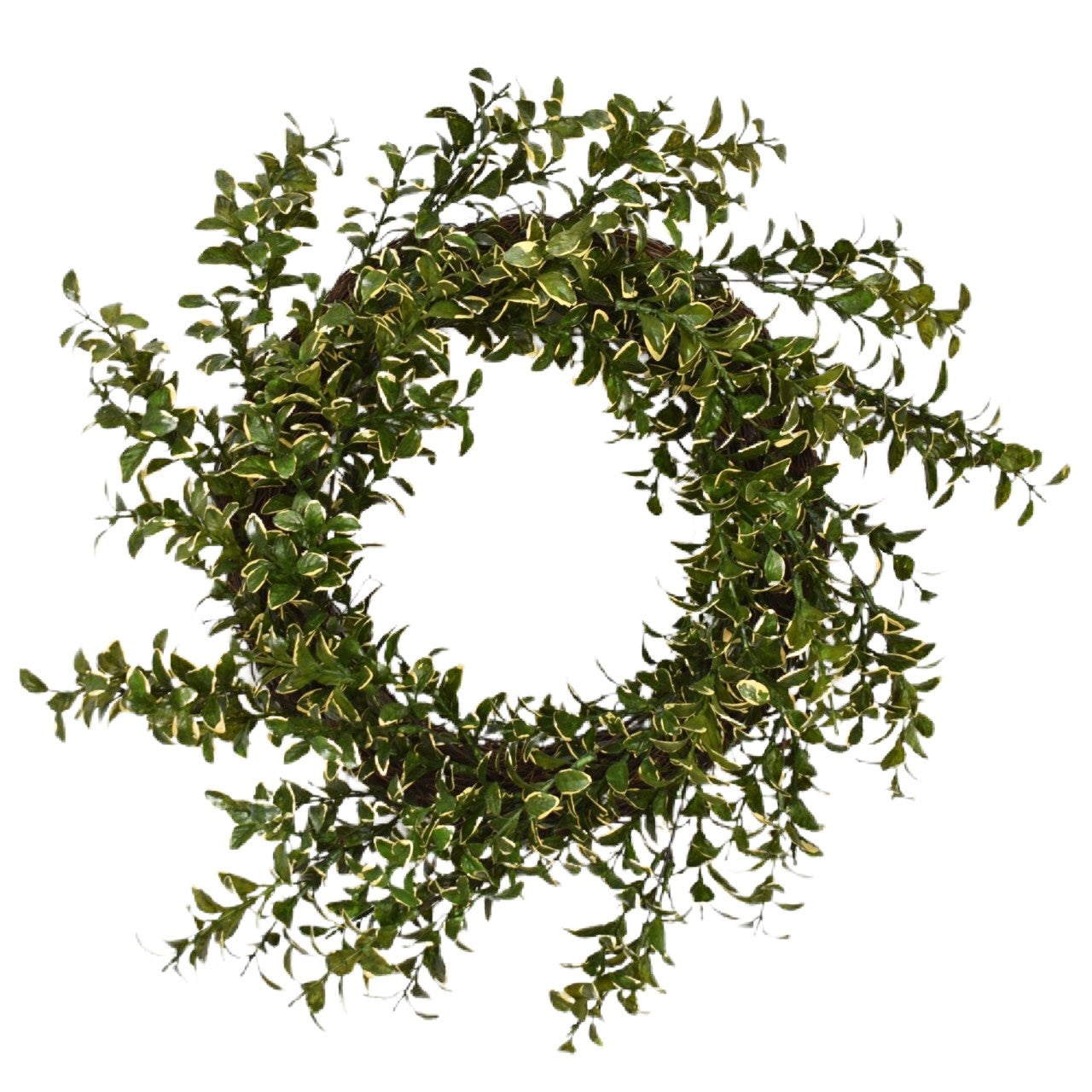 16" Variegated Boxwood Wreath