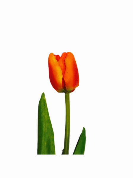 18" Orange Tulip Stem