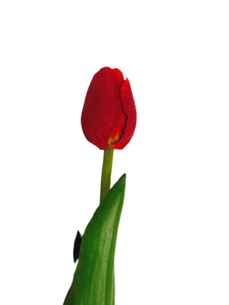 18" Red Tulip Stem