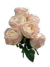 16" Blush Rose Bouquet