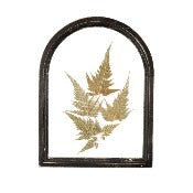 Pressed Flowers In Black Frame