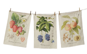 Assorted Fruit Tea Towel, INDIVIDUALLY SOLD