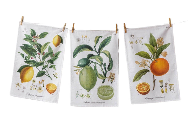 Assorted Citrus Fruit Tea Towel, INDIVIDUALLY SOLD